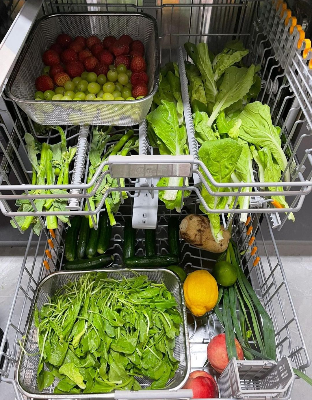 23,5 triệu người tranh cãi dữ dội về hành động của người phụ nữ dùng máy rửa bát để làm việc này- Ảnh 2.