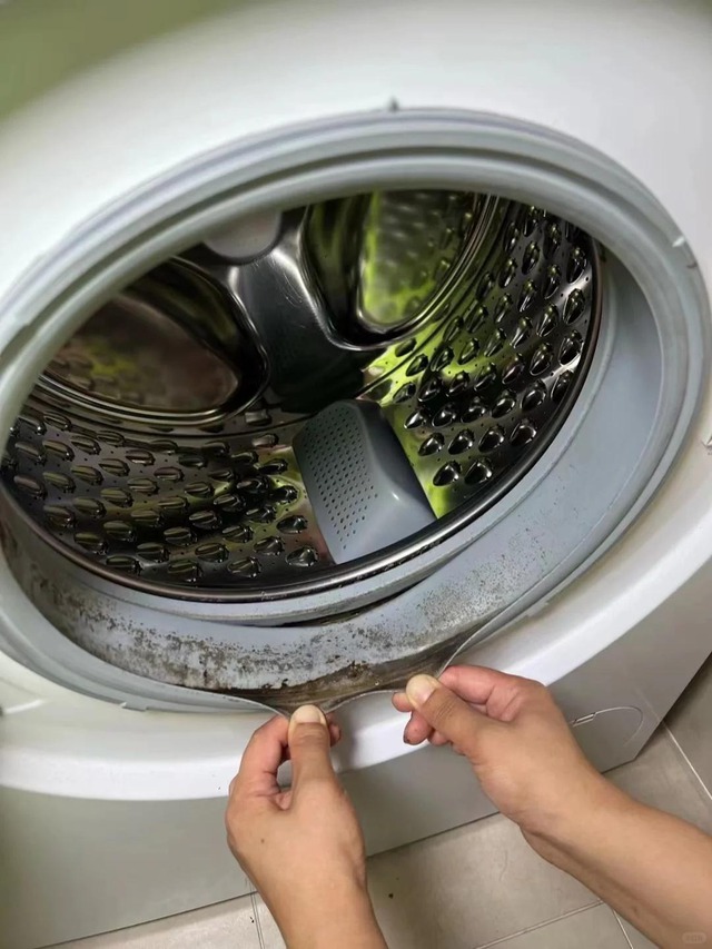 10 thứ bẩn kinh hoàng, tôi đau khổ nhận ra nhà mình có tất cả!- Ảnh 3.