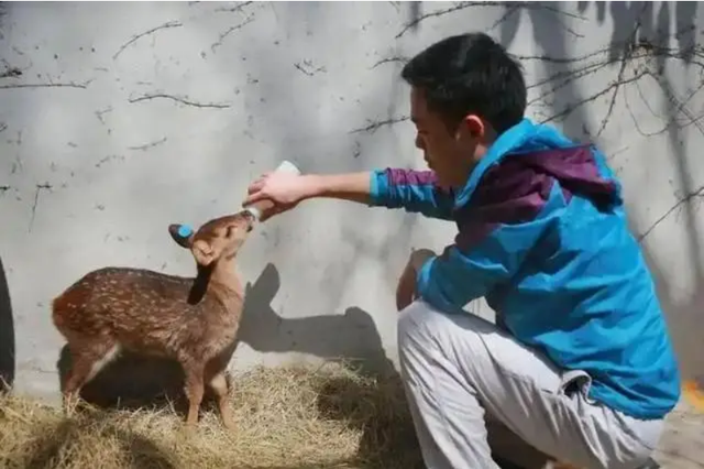 Đem con non 3 ngày tuổi về nuôi, chuyên gia hân hoan khi tìm thấy loài "tuyệt chủng" gần 30 năm- Ảnh 2.