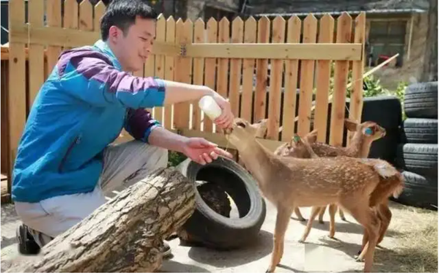 Đem con non 3 ngày tuổi về nuôi, chuyên gia hân hoan khi tìm thấy loài "tuyệt chủng" gần 30 năm- Ảnh 5.