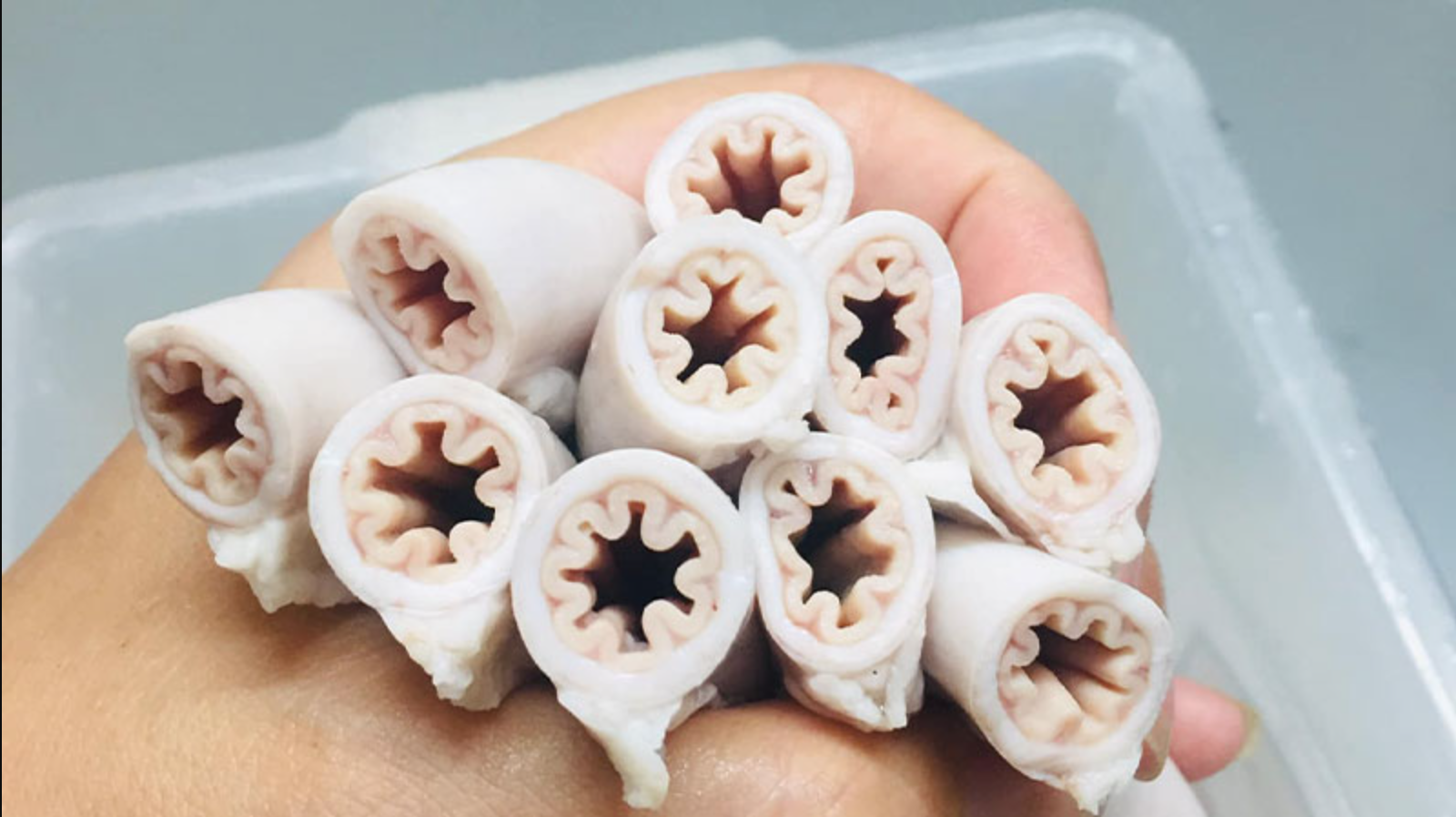 Hàng loạt thực khách từng ăn lòng se điếu bỗng hoang mang khi phát hiện sự thật đằng sau món đặc sản- Ảnh 1.