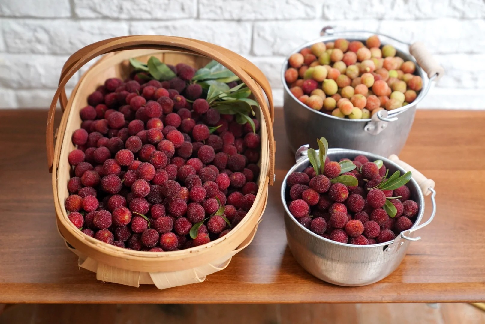 M&ugrave;a thanh mai ch&iacute;n rộ: Thứ quả chua ngọt đẹp như mơ, ăn ngon lại tốt cho sức khỏe- Ảnh 10.