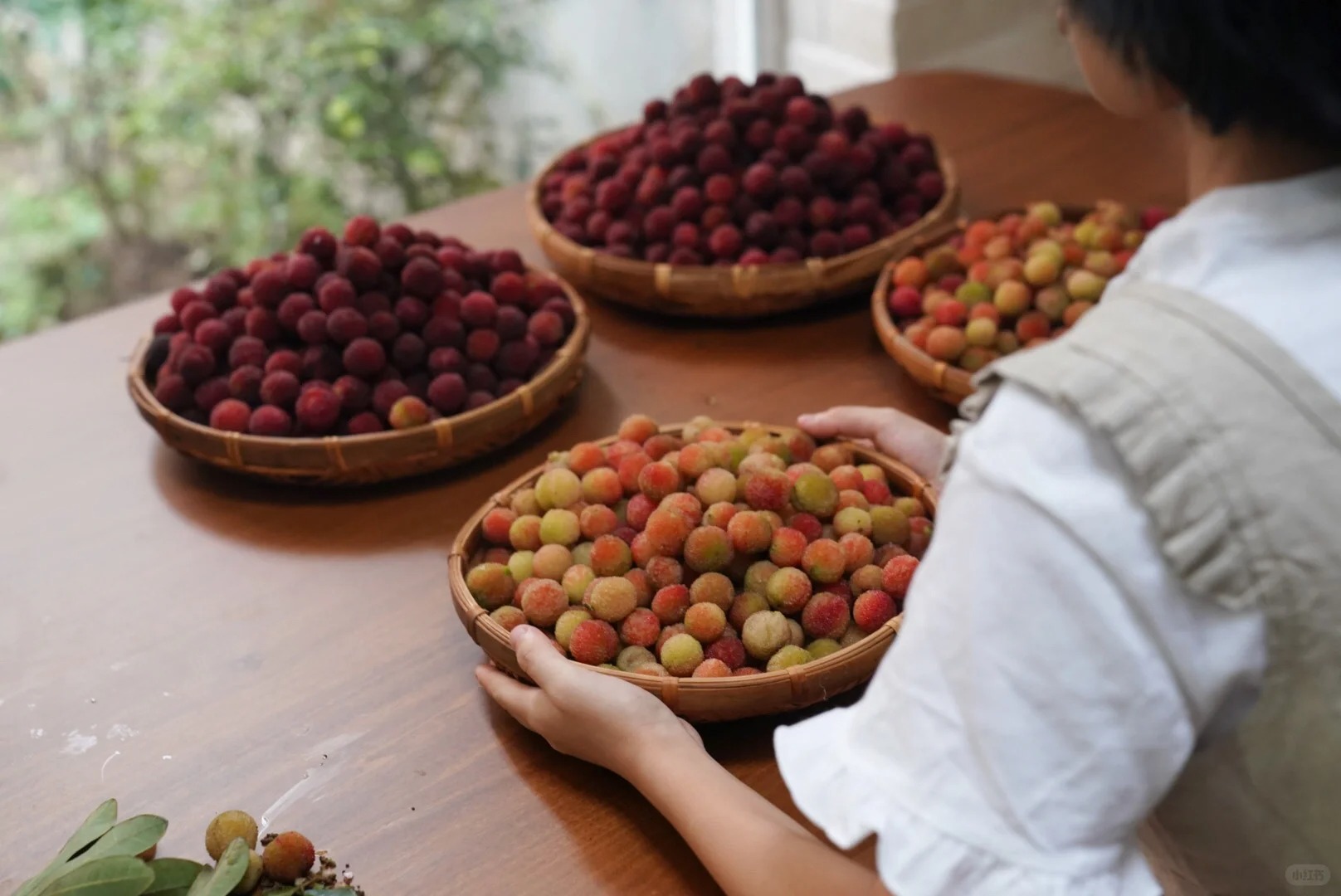 M&ugrave;a thanh mai ch&iacute;n rộ: Thứ quả chua ngọt đẹp như mơ, ăn ngon lại tốt cho sức khỏe- Ảnh 20.