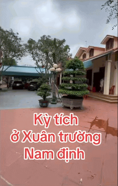 5 anh em chung sống hòa thuận trong 1 khu đất, xây 5 căn nhà giống hệt nhau ở Nam Định gây sốt MXH: Bí quyết nằm ở nhân vật đặc biệt này?- Ảnh 1.