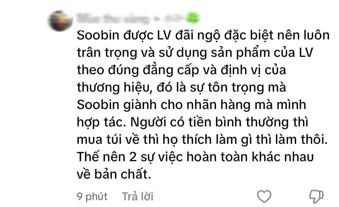 Fan Sơn Tùng M-TP và Soobin “khẩu chiến” căng đét vì chiếc túi LV 300 triệu đựng măng cụt- Ảnh 10.