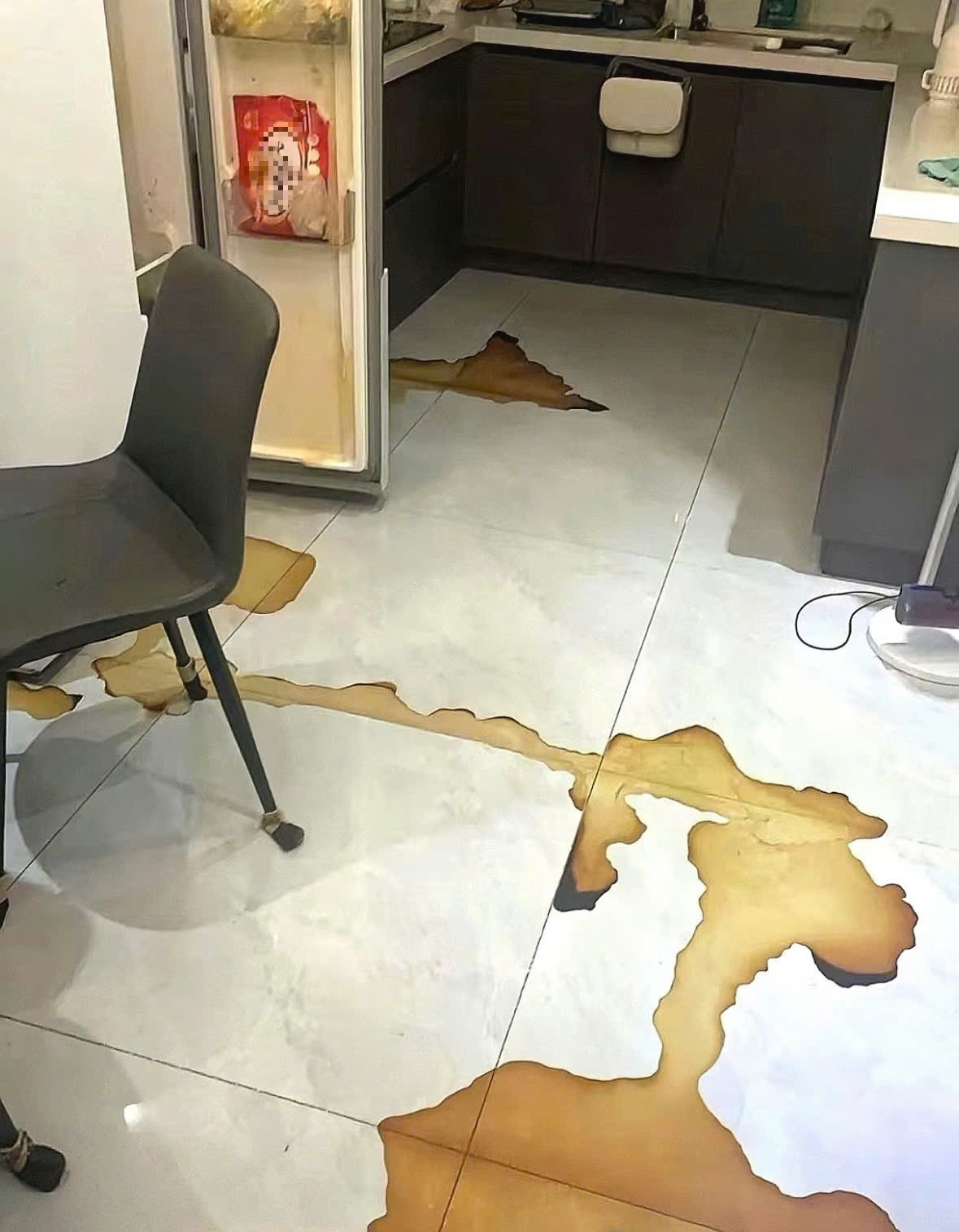 Mẹ vợ phát hiện chất lỏng màu đỏ rỉ ra từ tủ lạnh, mùi hôi thối kỳ lạ khi đến thăm con gái: "Tôi hét toáng, vội gọi cho con rể"- Ảnh 4.