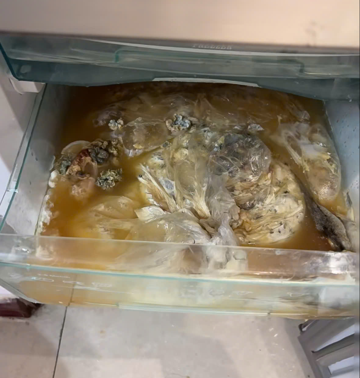 Mẹ vợ phát hiện chất lỏng màu đỏ rỉ ra từ tủ lạnh, mùi hôi thối kỳ lạ khi đến thăm con gái: "Tôi hét toáng, vội gọi cho con rể"- Ảnh 3.
