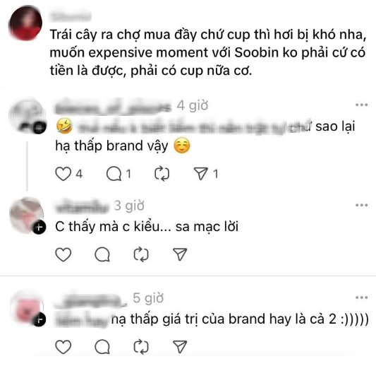 Fan Sơn Tùng M-TP và Soobin “khẩu chiến” căng đét vì chiếc túi LV 300 triệu đựng măng cụt- Ảnh 9.