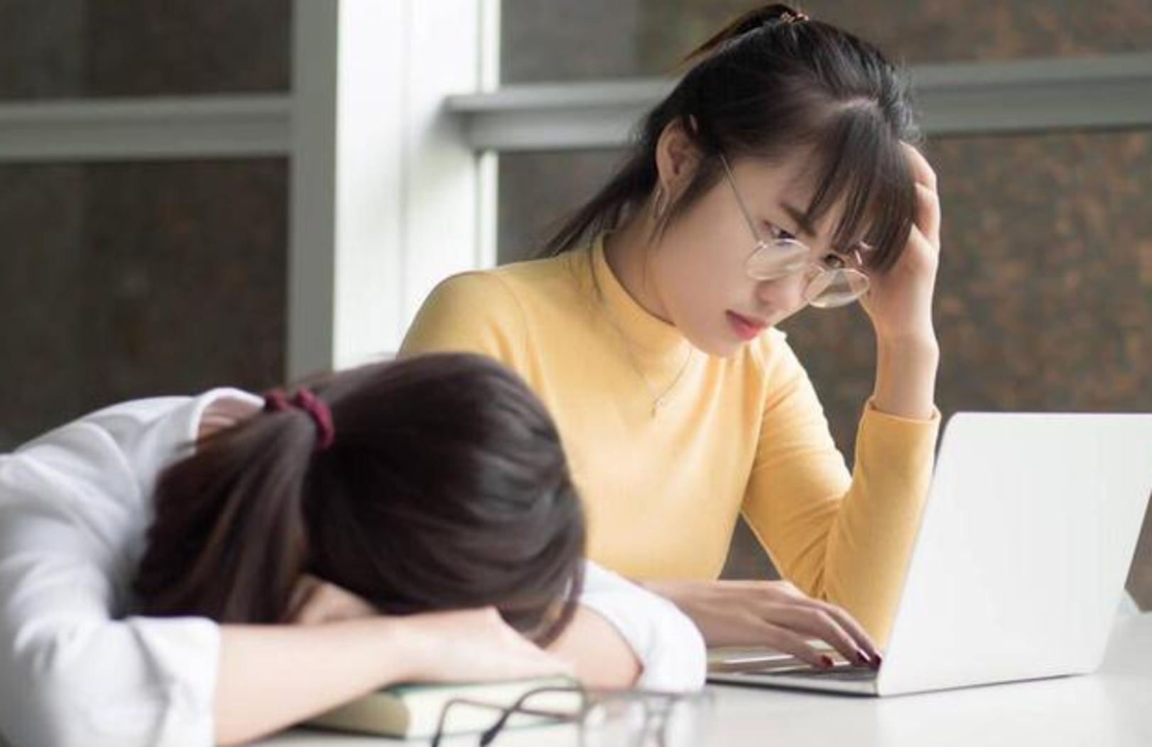 Vùi đầu học để lấy bằng giỏi, nhiều sinh viên vỡ mộng không xin được việc- Ảnh 1.