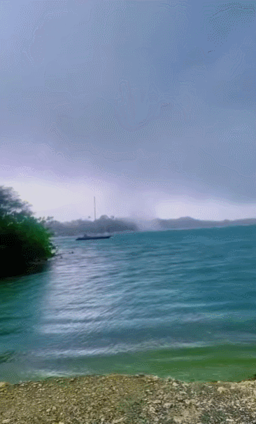 Cảnh tượng sốc: Cá bay đầy trời ở vùng biển Caribe, rốt cuộc chuyện gì đang xảy ra?- Ảnh 1.