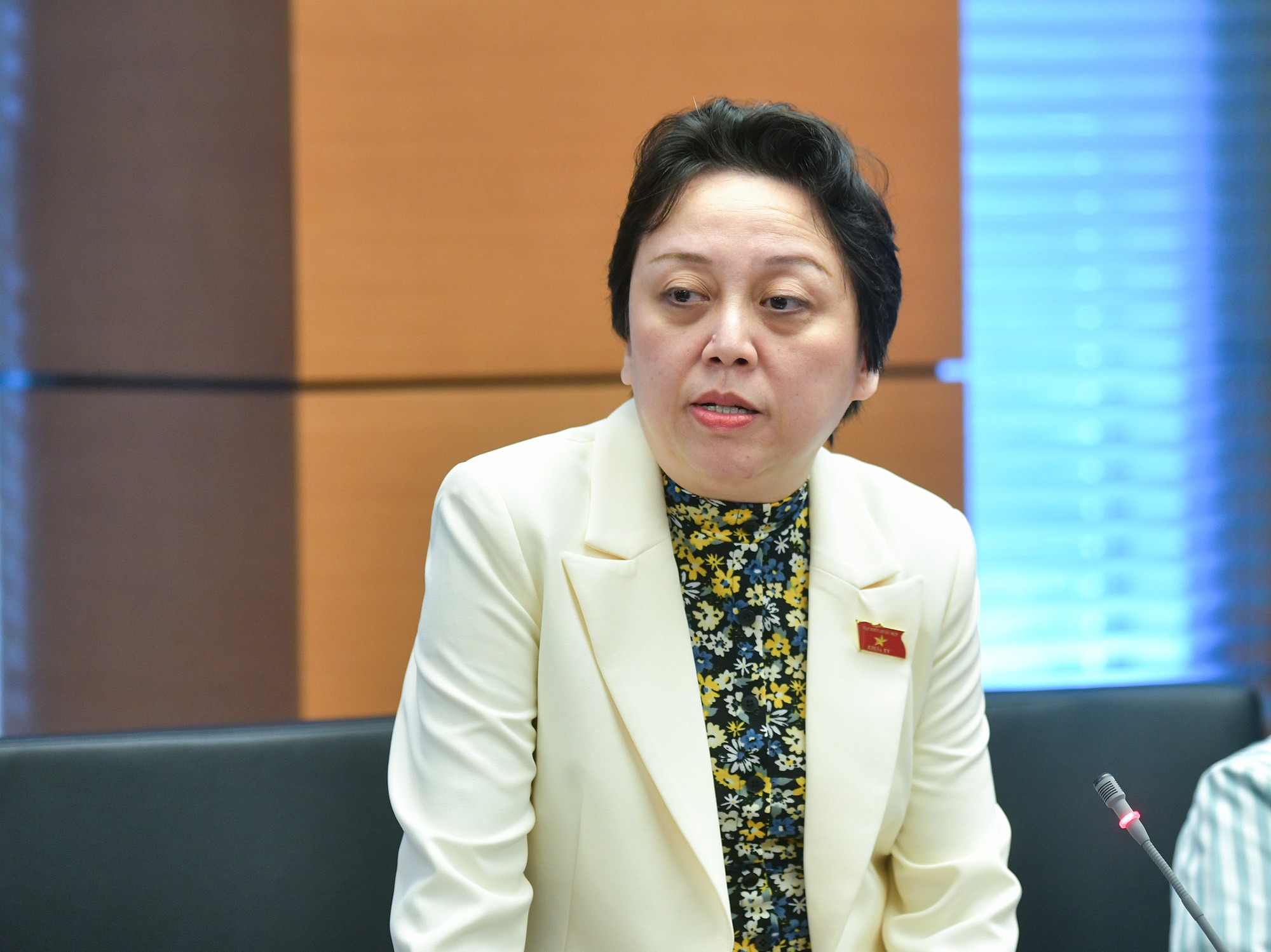 Bà Phạm Khánh Phong Lan: Báo chí vừa thông tin, đi  kiểm tra đâu cũng nói "em hết lòng xe điếu"- Ảnh 1.