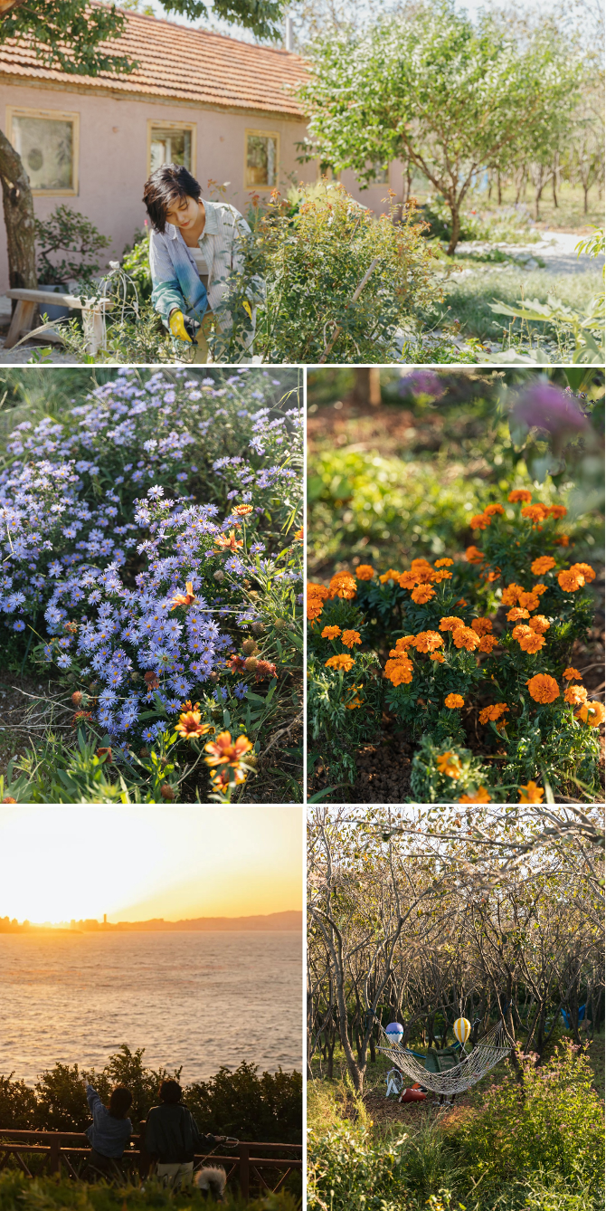 Người phụ nữ thu&ecirc; 18.000 m2 đất để nghỉ hưu tr&ecirc;n một h&ograve;n đảo, chi 180 triệu đồng/năm &ldquo;mua&rdquo; b&igrave;nh y&ecirc;n- Ảnh 9.