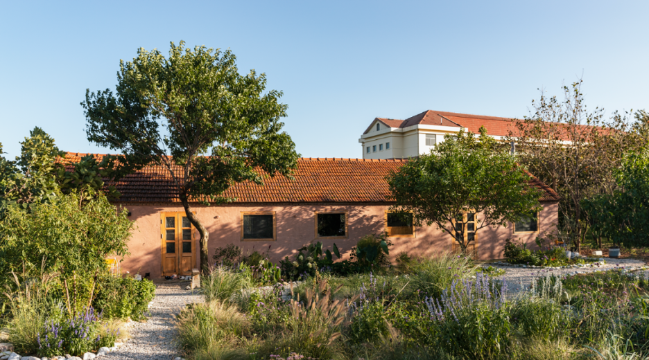 Người phụ nữ thu&ecirc; 18.000 m2 đất để nghỉ hưu tr&ecirc;n một h&ograve;n đảo, chi 180 triệu đồng/năm &ldquo;mua&rdquo; b&igrave;nh y&ecirc;n- Ảnh 1.