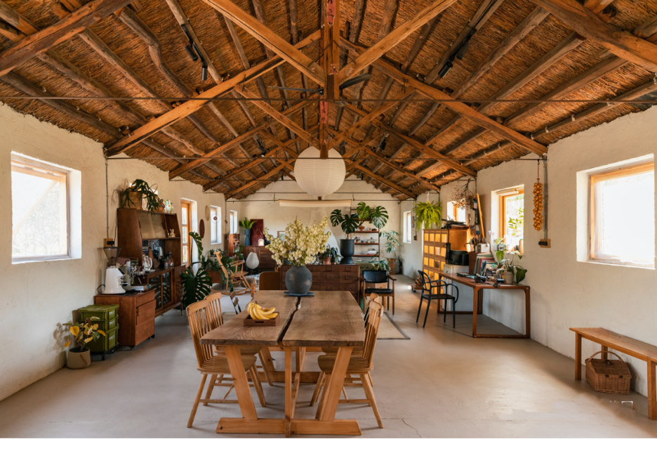 Người phụ nữ thu&ecirc; 18.000 m2 đất để nghỉ hưu tr&ecirc;n một h&ograve;n đảo, chi 180 triệu đồng/năm &ldquo;mua&rdquo; b&igrave;nh y&ecirc;n- Ảnh 3.