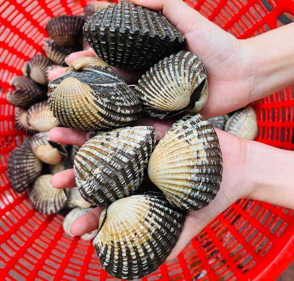 5 loại hải sản dễ 