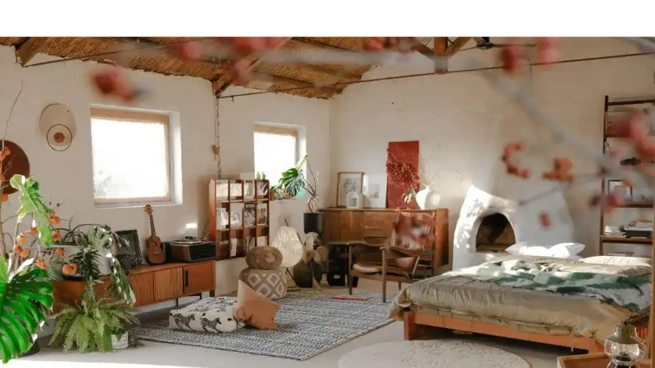 Người phụ nữ thu&ecirc; 18.000 m2 đất để nghỉ hưu tr&ecirc;n một h&ograve;n đảo, chi 180 triệu đồng/năm &ldquo;mua&rdquo; b&igrave;nh y&ecirc;n- Ảnh 4.