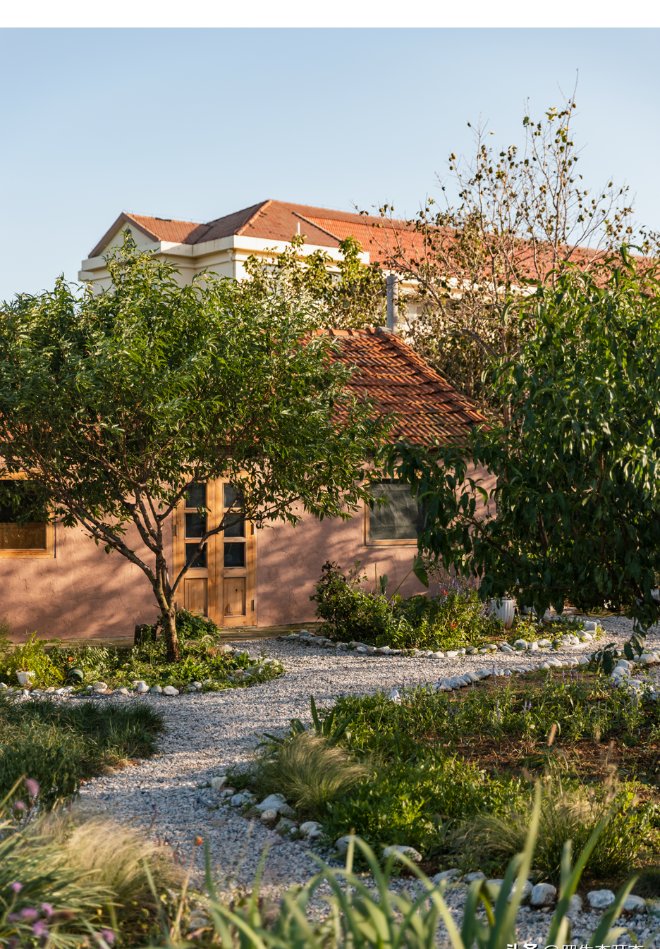 Người phụ nữ thu&ecirc; 18.000 m2 đất để nghỉ hưu tr&ecirc;n một h&ograve;n đảo, chi 180 triệu đồng/năm &ldquo;mua&rdquo; b&igrave;nh y&ecirc;n- Ảnh 8.