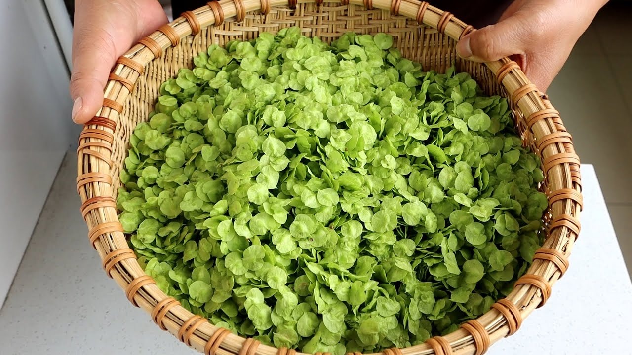 Loại rau dại ngọt hơn rau cải, không chứa axit oxalic, ăn vào mát gan, giải nhiệt cực tốt- Ảnh 2.