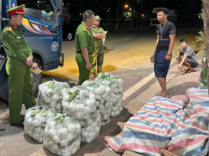 Rau củ chứa hóa chất liên tục bị phát hiện: 15 loại rau củ được đánh giá là ít tồn dư thuốc trừ sâu nhất- Ảnh 2.
