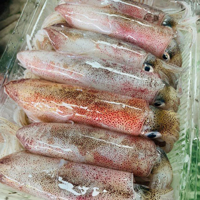 5 loại hải sản dễ 