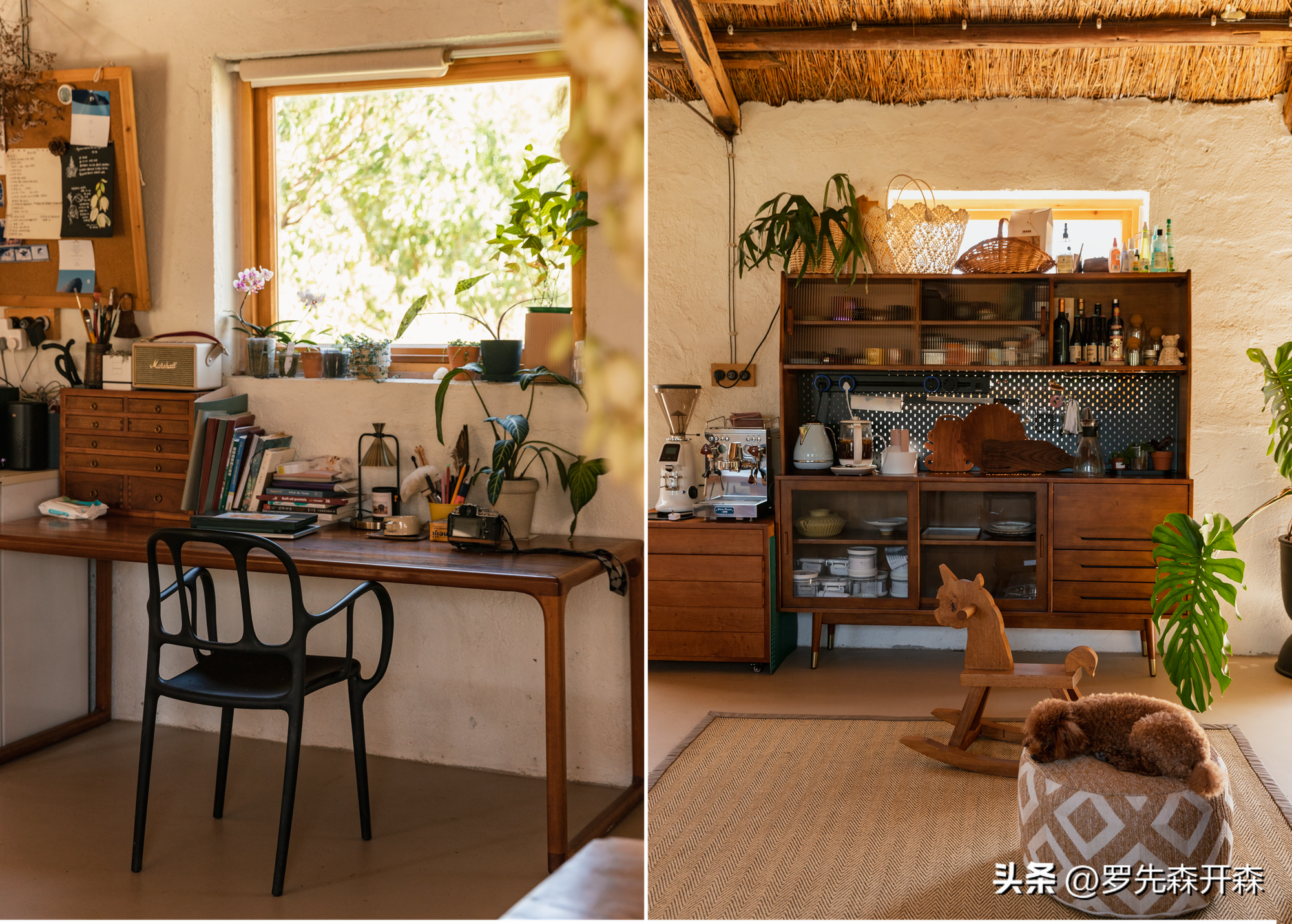 Người phụ nữ thu&ecirc; 18.000 m2 đất để nghỉ hưu tr&ecirc;n một h&ograve;n đảo, chi 180 triệu đồng/năm &ldquo;mua&rdquo; b&igrave;nh y&ecirc;n- Ảnh 10.