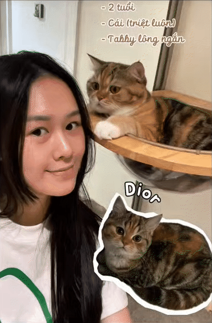 Ái nữ nhà quan trong "Thám tử Kiên": Nổi tiếng mê mèo, xây cả "villa" đầy đủ tiện nghi cho mèo- Ảnh 15.