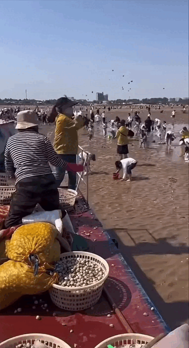 Clip vén màn sự thật trend đào ngao được “khối nghỉ hè” thích mê- Ảnh 4.