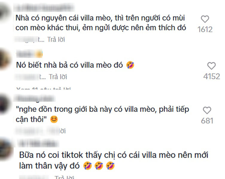 Ái nữ nhà quan trong "Thám tử Kiên": Nổi tiếng mê mèo, xây cả "villa" đầy đủ tiện nghi cho mèo- Ảnh 5.