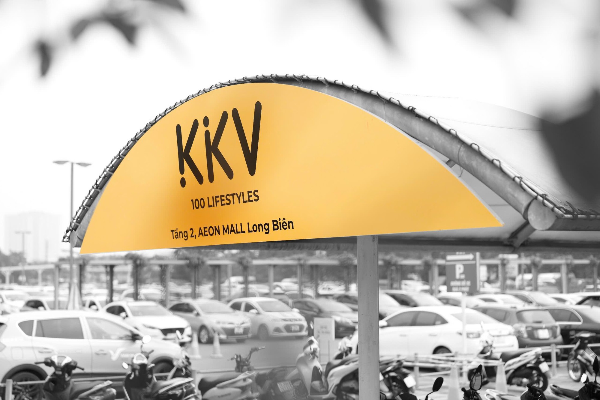 KKV tăng cường hợp tác và mở rộng quy mô thương mại tại thị trường Việt Nam- Ảnh 1.
