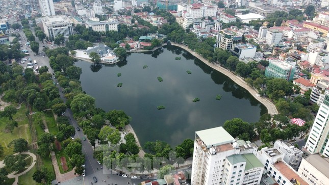 Số phận 12 con thiên nga thả thí điểm ở hồ Thiền Quang- Ảnh 2.