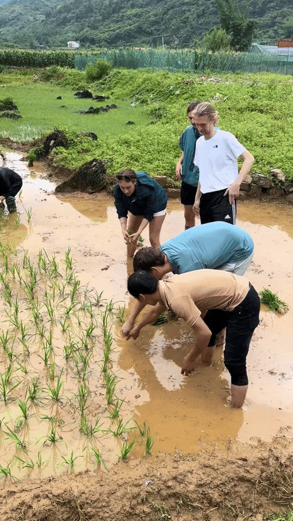 Khách Tây không ngại khó, không ngại bẩn, thích thú với trải nghiệm nhiều người Việt cũng không biết làm- Ảnh 2.