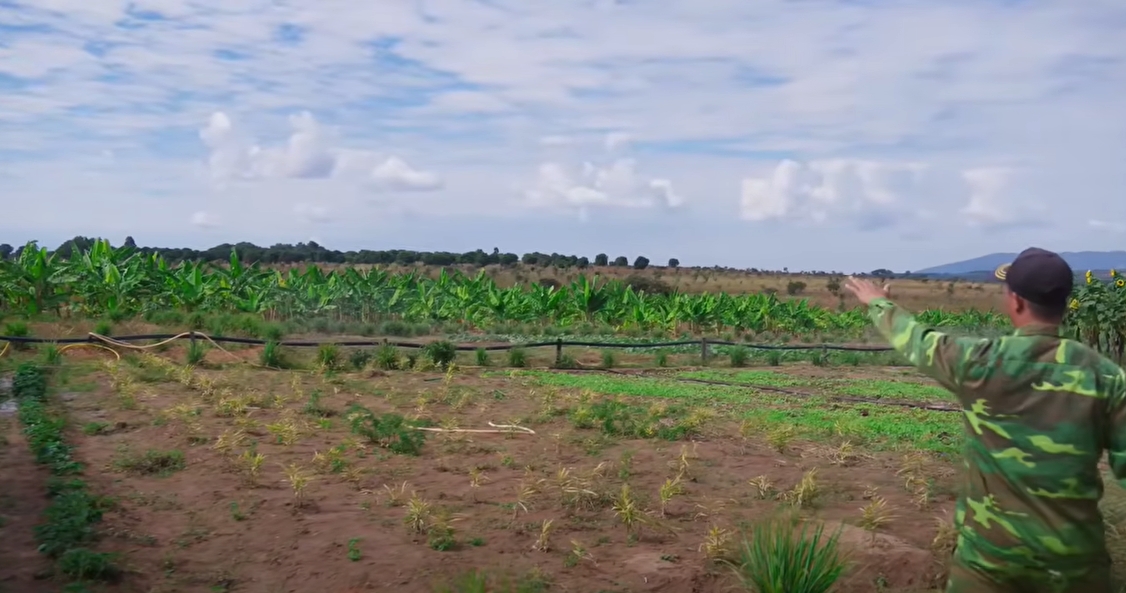 Nghi vấn trang trại của Quang Linh Vlogs ở Angola chỉ là phim trường, trồng lúa để làm content: Thực hư ra sao?- Ảnh 5.