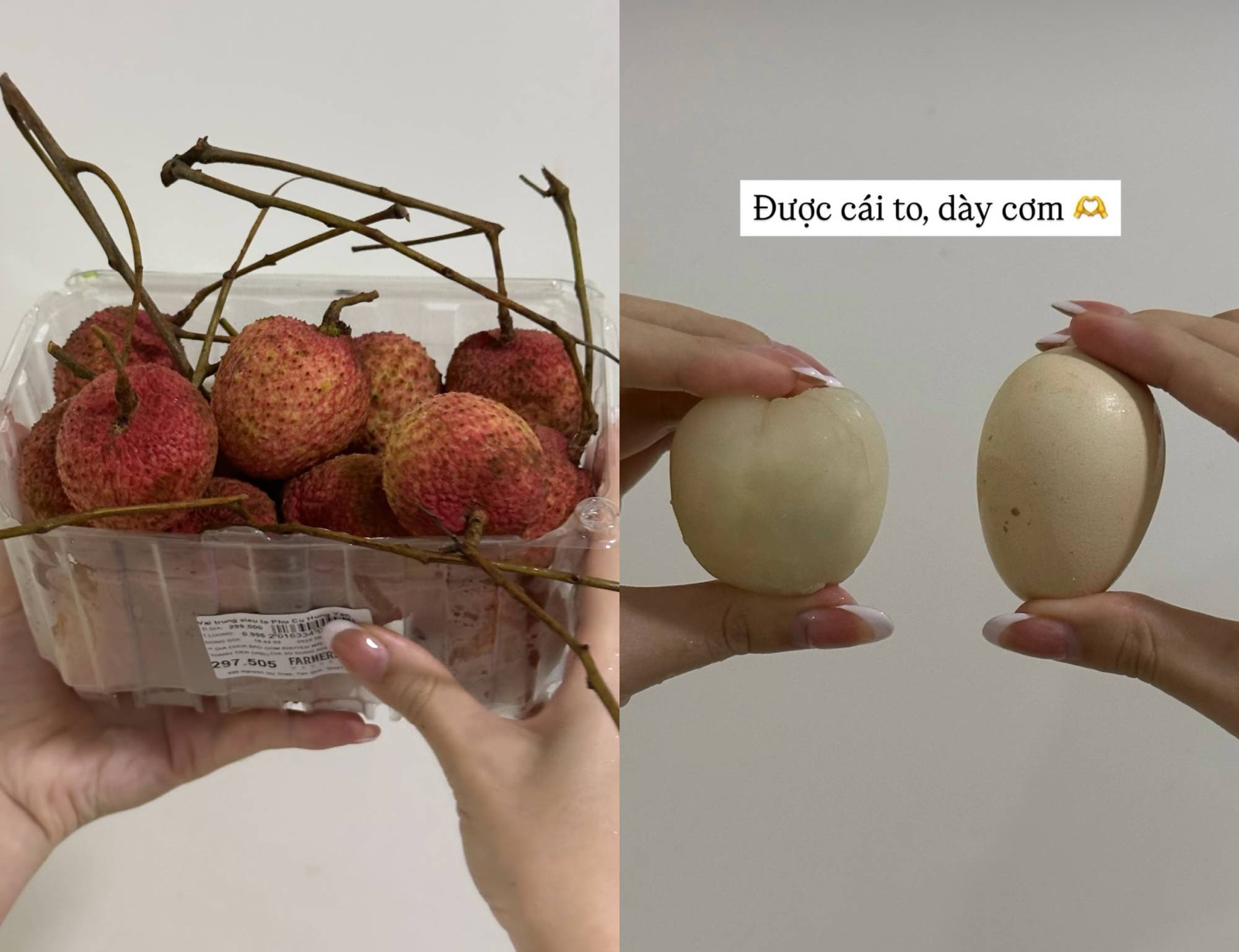 Vải trứng Hưng Yên: "To thì có to, nhưng thua vải thiều?"- Ảnh 4. Vải trứng Hưng Yên: "To thì có to, nhưng thua vải thiều?"- Ảnh 4.