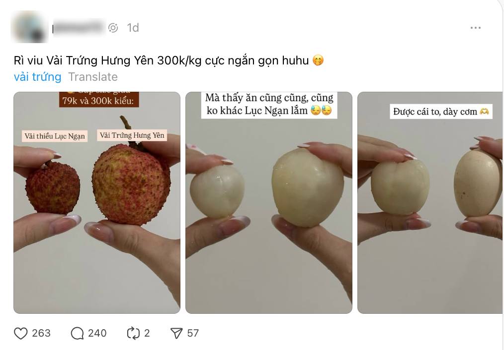 Vải trứng Hưng Yên: "To thì có to, nhưng thua vải thiều?"- Ảnh 2. Vải trứng Hưng Yên: "To thì có to, nhưng thua vải thiều?"- Ảnh 2.