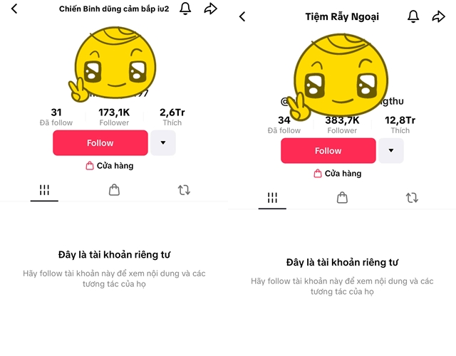 Thu Hòa (Mẹ bé Bắp) đã quên lời hứa sao kê?- Ảnh 2.