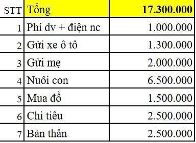 Bảng chi tiêu trị giá 17,3 triệu đồng của cô vợ Hà Nội khiến nhiều người lắc đầu: "Lương 60 triệu cũng chưa dám tiêu cỡ này"- Ảnh 1.