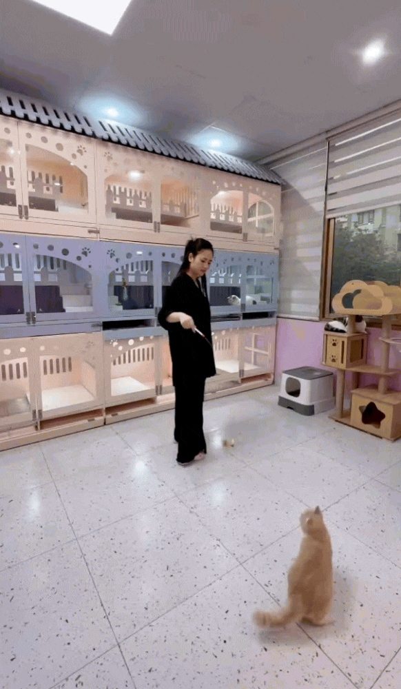 Nữ chính xinh nhất Độc Đạo khoe căn 