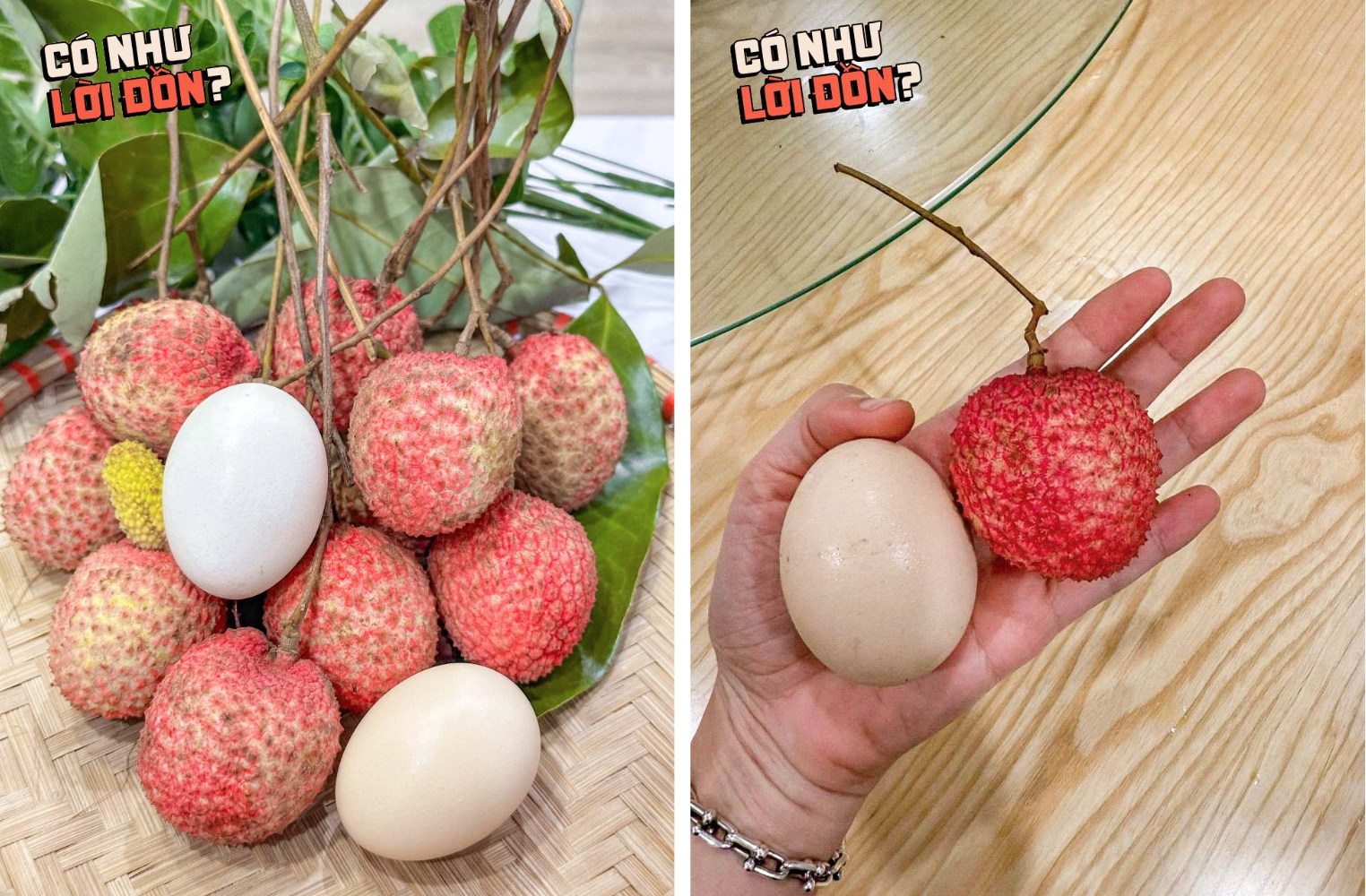 Vải trứng Hưng Yên: "To thì có to, nhưng thua vải thiều?"- Ảnh 5. Vải trứng Hưng Yên: "To thì có to, nhưng thua vải thiều?"- Ảnh 5.