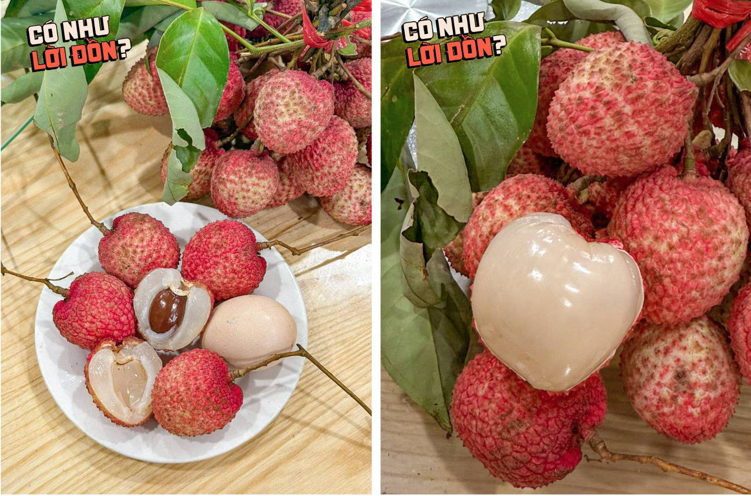 Vải trứng Hưng Yên: "To thì có to, nhưng thua vải thiều?"- Ảnh 7. Vải trứng Hưng Yên: "To thì có to, nhưng thua vải thiều?"- Ảnh 7.