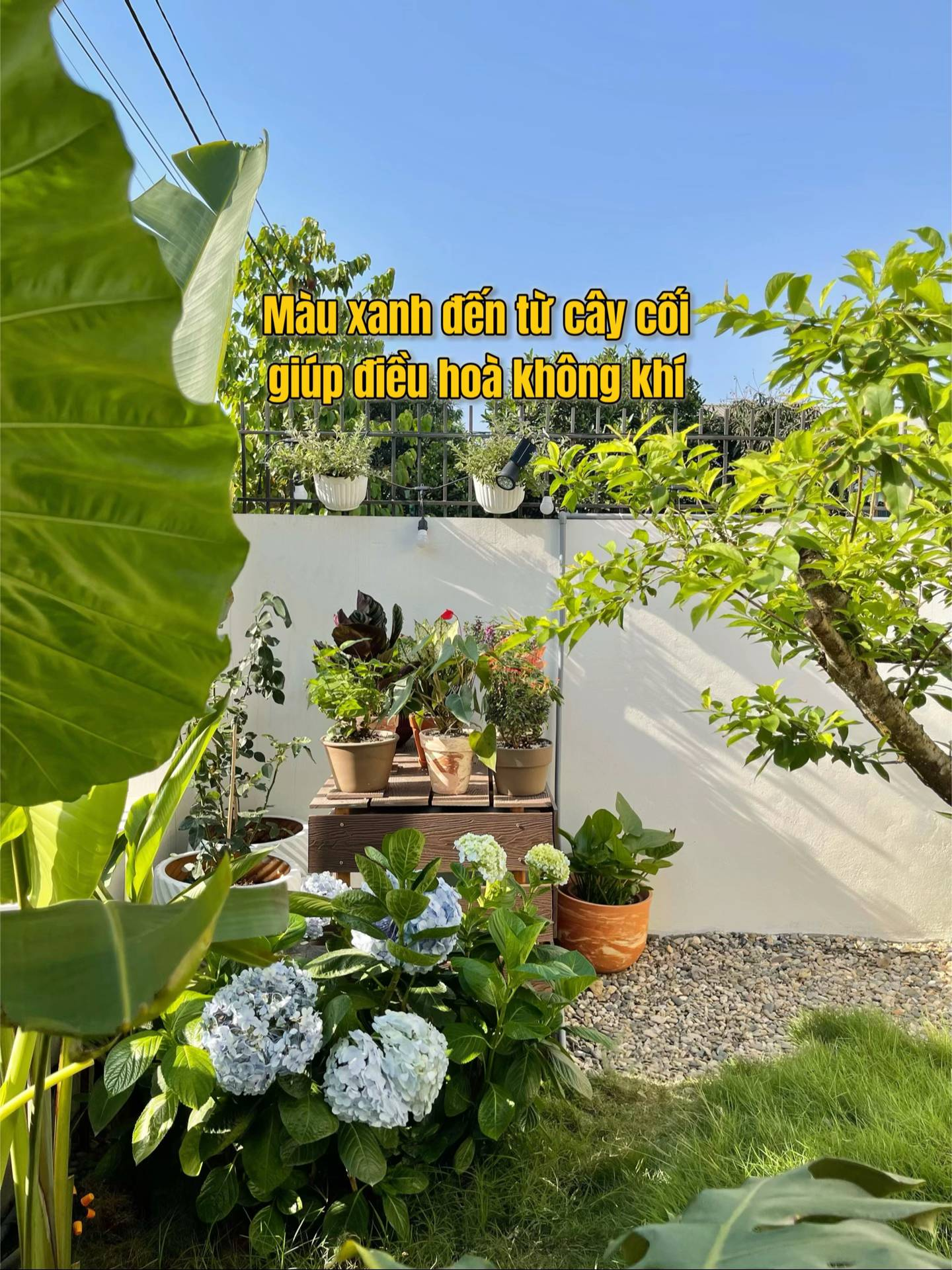 Cặp vợ chồng trẻ xây nhà hướng Tây vẫn mát mẻ nhờ 1 chiêu đơn giản, tổ ấm rộng 300m2 đẹp như resort nghỉ dưỡng lại xuất phát từ một bản mẫu free trên mạng- Ảnh 10.