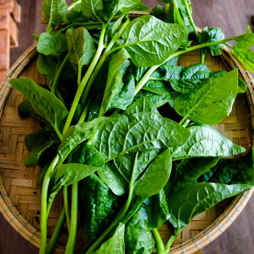 Rau dại một thời giờ là 