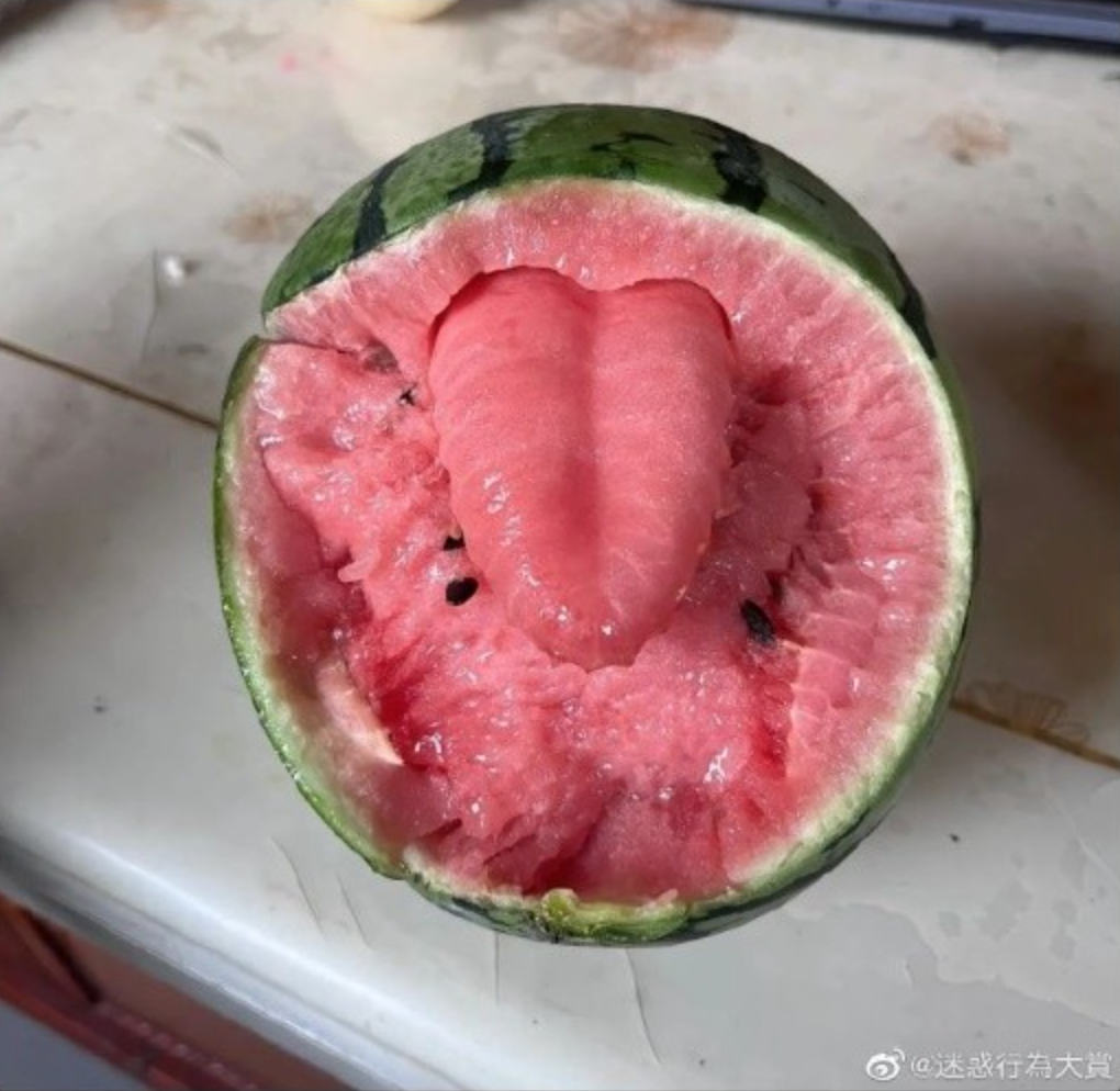 Bổ dưa hấu, người đàn ông thấy hình 1 cái lưỡi bên trong, dân mạng ngỡ ngàng khi nghe giải thích- Ảnh 3.