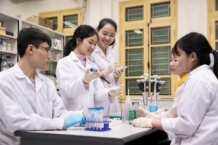 Các trường Y Dược top đầu đồng loạt tuyển thí sinh giỏi tiếng Anh- Ảnh 1.