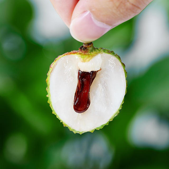 Vải quả tròn hay quả nhọn ngon hơn? 4 mẹo để chọn vải có thịt dày, hạt nhỏ- Ảnh 2.