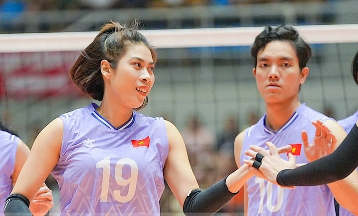 Xem trực tiếp bóng chuyền Việt Nam vs Australia ngày 12/6 trên kênh nào?- Ảnh 1.