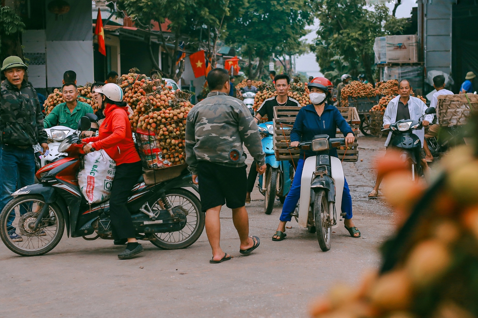 Cảm nhận niềm vui lao động qua bộ ảnh người dân thu hoạch vải- Ảnh 4.