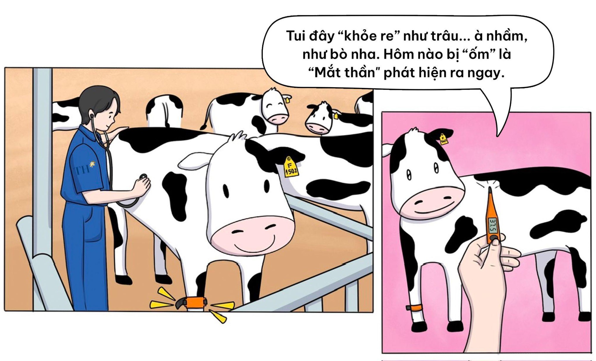 Flex nhẹ cuộc sống “chanh sả” của những cô bò sữa TH true MILK- Ảnh 3.