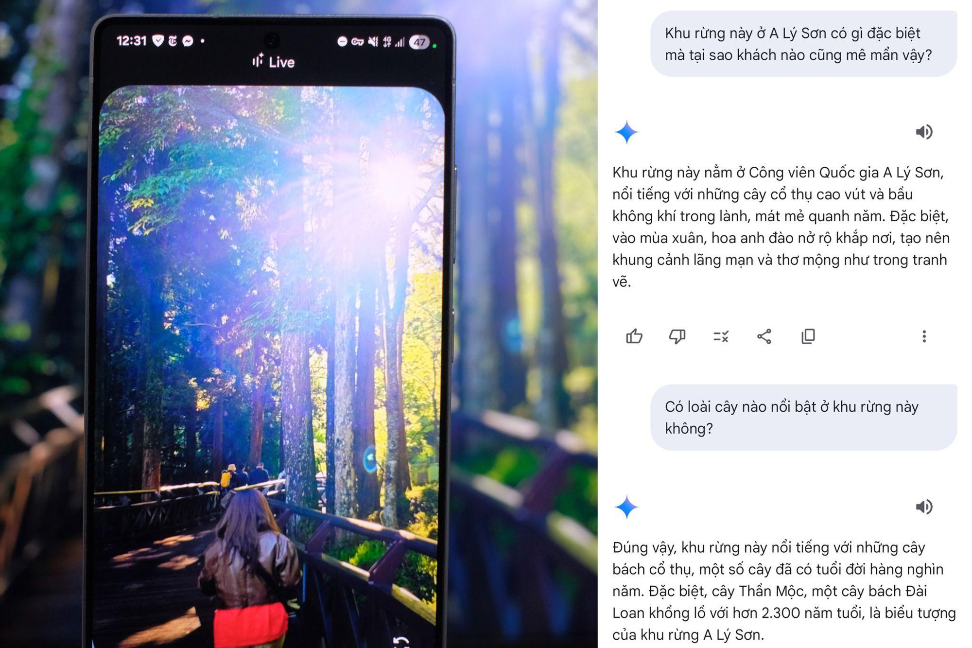 Cầm Galaxy S25 Ultra vi vu Đài Loan (Trung Quốc): Vừa chụp ảnh đẹp, vừa có “tour guide AI” biết tuốt bên cạnh!- Ảnh 4.