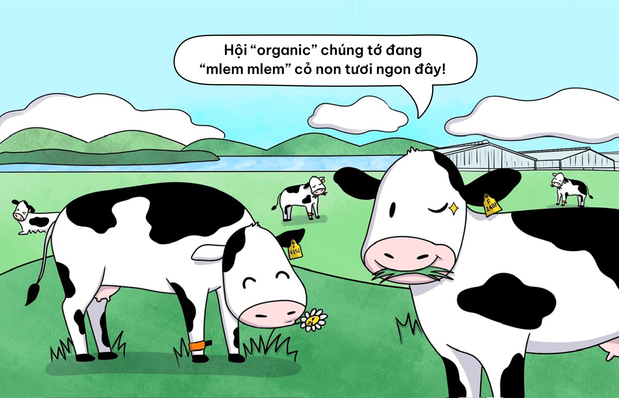Flex nhẹ cuộc sống “chanh sả” của những cô bò sữa TH true MILK- Ảnh 2.