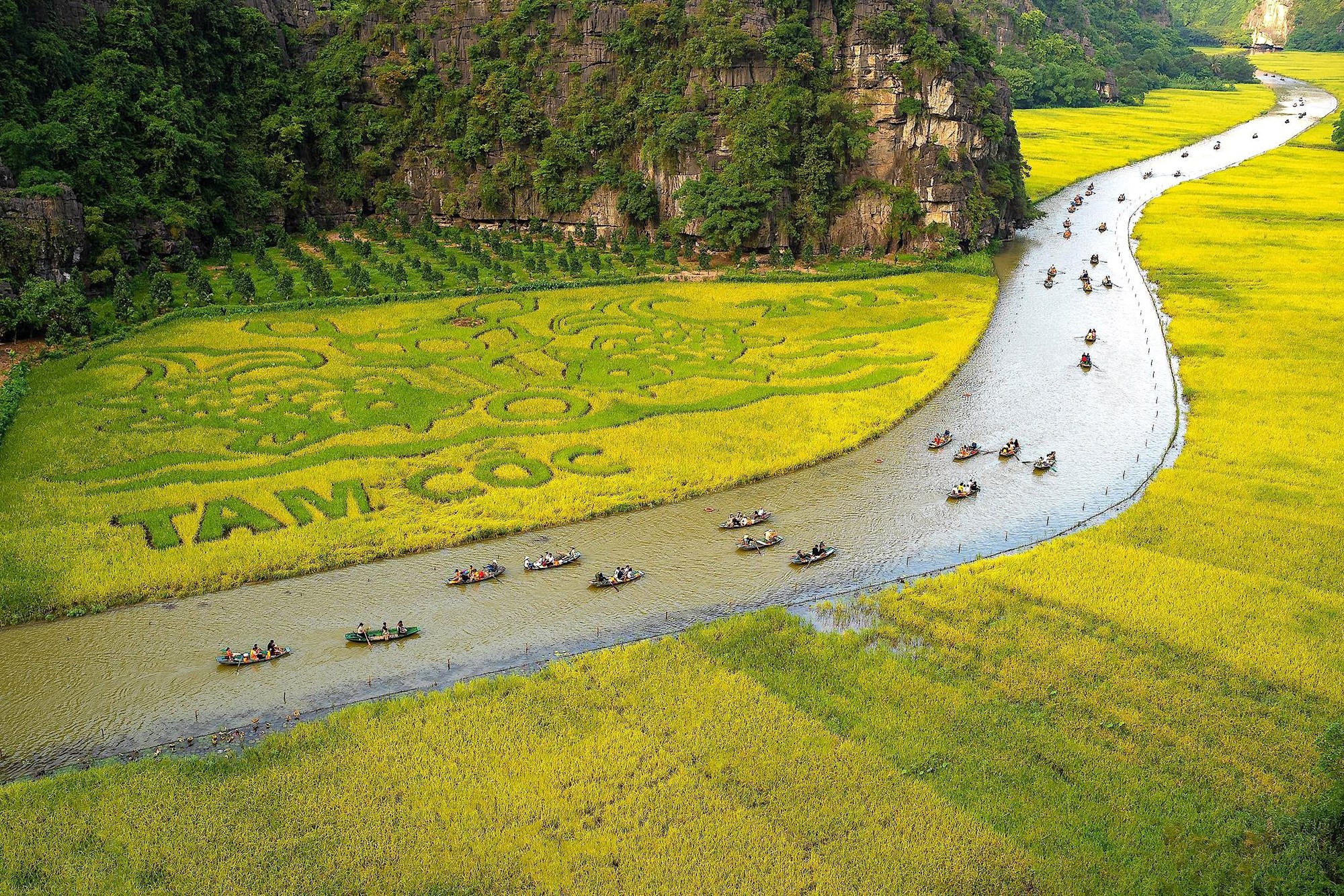 Không chỉ có Tràng An - Bái Đính hay Tuyệt Tình Cốc, người ta đến rồi quay lại Ninh Bình còn vì những món ăn dân dã đậm chất cố đô này!- Ảnh 19.